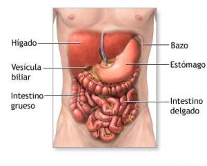 diagrama-localizacion-bazo