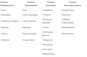 prolapso uretral-iocir.com/blog