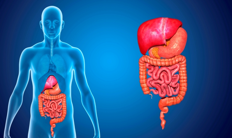 cancer digestivo-IOCir-cirujanos en huelva-cancer gastrointestinal